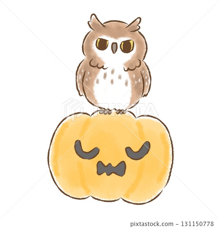 貓頭鷹和南瓜沒有背景 131150778