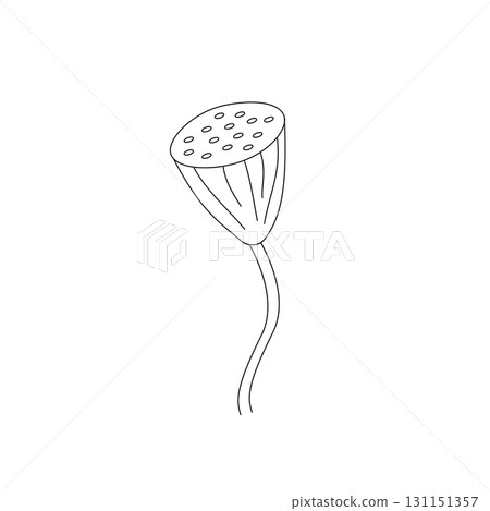 Illustration of Hand Drawn Sketch Fresh Pod with Seeds of Sacred Lotus or Water Lily Isolated on White Background. 131151357