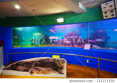 Scenery of the Noshappu Cold Current Aquarium Scenery of the Noshappu Cold Current Aquarium 131151550
