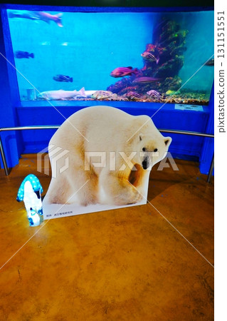 Scenery of the Noshappu Cold Current Aquarium Scenery of the Noshappu Cold Current Aquarium 131151551