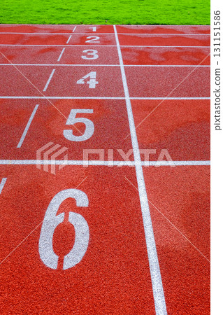Running track with numbers in the stadium 131151586