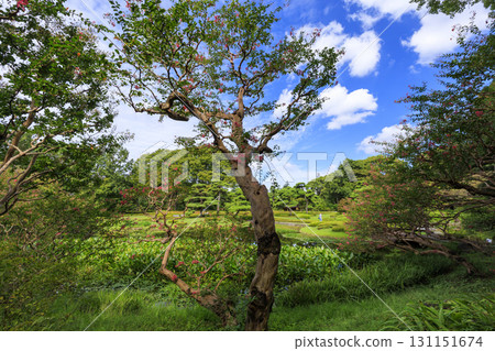 Otemachi buildings seen from the East Gardens of the Imperial Palace 131151674