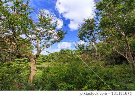 Otemachi buildings seen from the East Gardens of the Imperial Palace Otemachi buildings seen from the East Gardens of the Imperial Palace 131151675