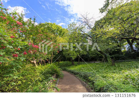 從皇居東御苑眺望大手町的建築 131151676