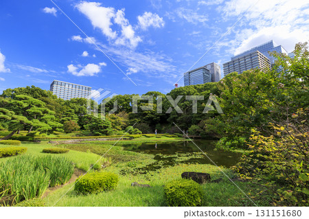 Otemachi buildings seen from the East Gardens of the Imperial Palace 131151680