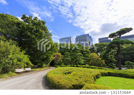 從皇居東御苑眺望大手町的建築 從皇居東御苑眺望大手町的建築 131151684