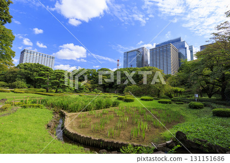 從皇居東御苑眺望大手町的建築 從皇居東御苑眺望大手町的建築 131151686
