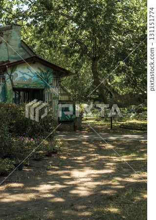A tree in front of a house. A picturesque road in the park and a house among the trees 131151774