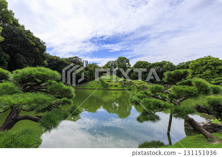 Fall of the Kiyosumi garden Fall of the Kiyosumi garden 131151936
