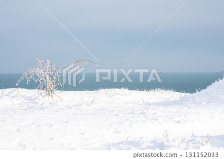 a huge field covered with snow and a bush covered with transparent ice a huge field covered with snow and a bush covered with transparent ice 131152033
