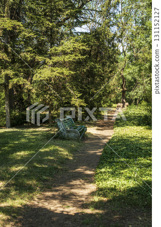 forest path in the park and a bench near the path 131152127