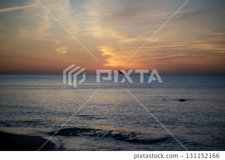 beautiful seascape with bright horizon 131152166