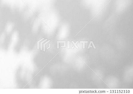 Abstract natural tree leaves shadow on white wall background Abstract natural tree leaves shadow on white wall background 131152310