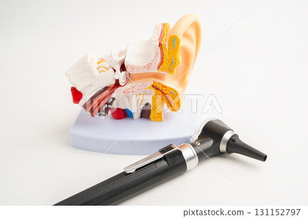 Otoscope with model for audiologist or ENT doctor use otoscope checking ear and treat hearing loss problem. Otoscope with model for audiologist or ENT doctor use otoscope checking ear and treat hearing loss problem. 131152797