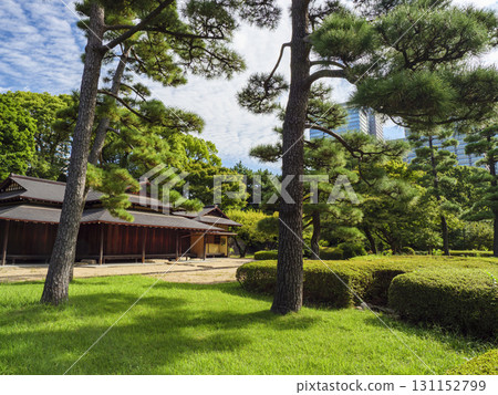 從皇居東御苑眺望大手町的建築 從皇居東御苑眺望大手町的建築 131152799