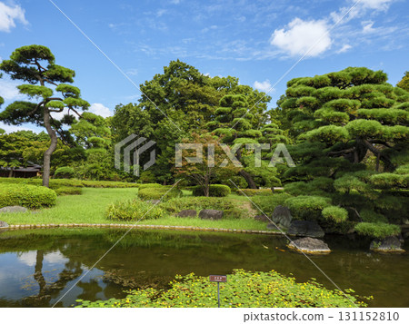 從皇居東御苑眺望大手町的建築 從皇居東御苑眺望大手町的建築 131152810