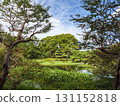 Otemachi buildings seen from the East Gardens of the Imperial Palace 131152818