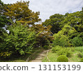 Fall of the Kiyosumi garden 131153199
