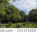 Fall of the Kiyosumi garden 131153200