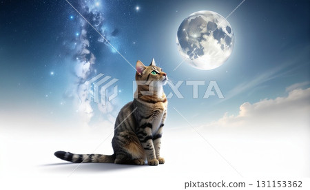 A cat looking up at the moon A cat looking up at the moon 131153362