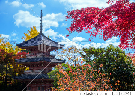 Hoshoji Temple surrounded by autumn leaves 131153741