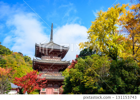 Hoshoji Temple surrounded by autumn leaves Hoshoji Temple surrounded by autumn leaves 131153743