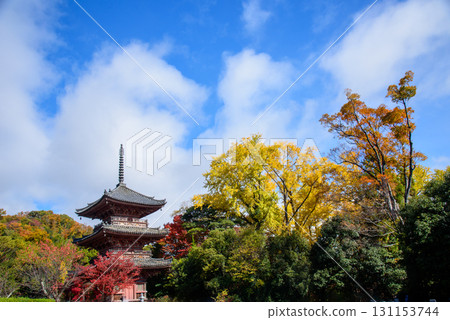 被秋葉包圍的寶勝寺 131153744