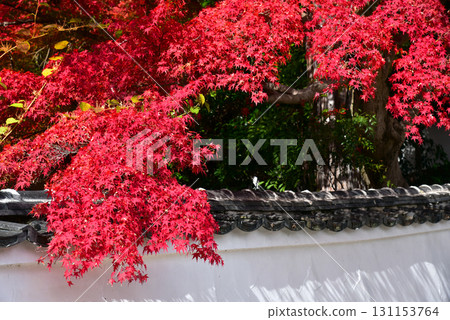 被秋葉包圍的寶勝寺 131153764