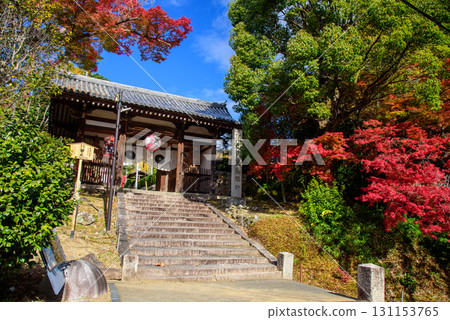 被紅葉包圍的法勝寺仁王門 131153765
