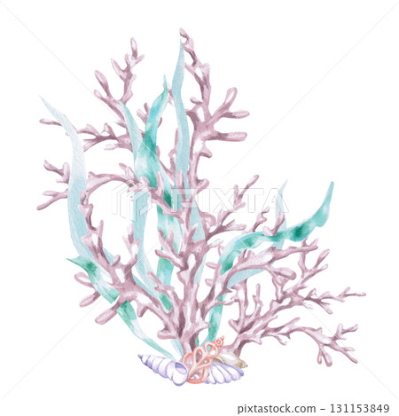 Large corals in seaweed with shells. Isolated watercolor illustration in a fairytale style for children's interiors, cosmetics, clothing prints, and themed holiday designs. 131153849