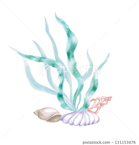 Seaweed with shells. Isolated watercolor illustration in a fairytale style for children's interiors, cosmetics, clothing prints, card designs, and themed holidays. 131153876