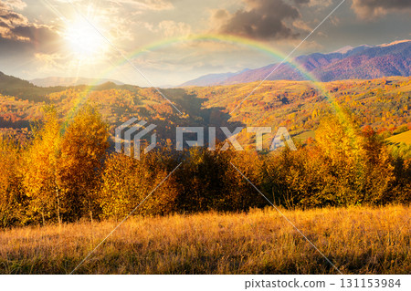 autumn mountain landscape at sunset. beautiful countryside in highlands with rural fields and colorful deciduous trees. rolling hills inder the rainbow in evening light 131153984