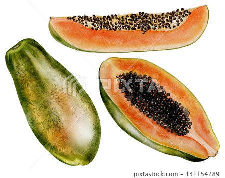 Papaya watercolor set. Hand drawn ripe tropical fruit on white background. Ideal for logo, cosmetics and product packaging Papaya watercolor set. Hand drawn ripe tropical fruit on white background. Ideal for logo, cosmetics and product packaging 131154289