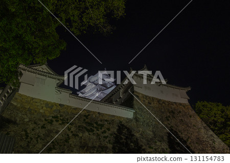 姬路城的夜晚-世界遺產的絕美風景 姬路城的夜晚-世界遺產的絕美風景 131154783