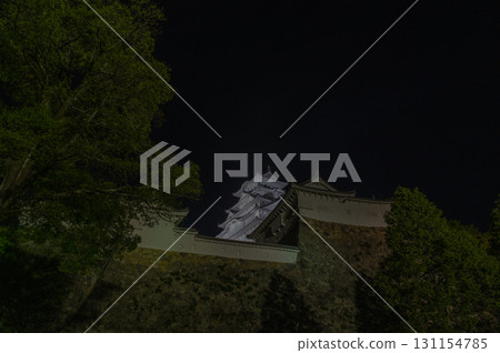 姬路城的夜晚－世界遺產的絕美風景 131154785