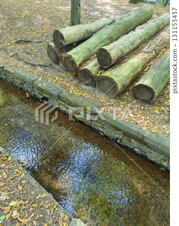 Quiet forest scene with logs by a gentle stream surrounded by fallen leaves in the heart of nature during autumn Quiet forest scene with logs by a gentle stream surrounded by fallen leaves in the heart of nature during autumn 131155457