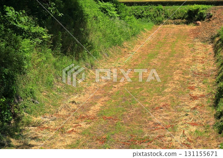 藍天下的九戶城遺址,石牆與護城河交相輝映(岩手縣) 藍天下的九戶城遺址,石牆與護城河交相輝映(岩手縣) 131155671