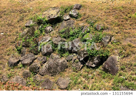 藍天下的九戶城遺址,石牆與護城河交相輝映(岩手縣) 藍天下的九戶城遺址,石牆與護城河交相輝映(岩手縣) 131155694