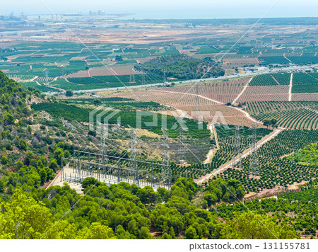 Rolling hills of vineyards and orchards near power lines under a clear sky in a sunlit landscape 131155781