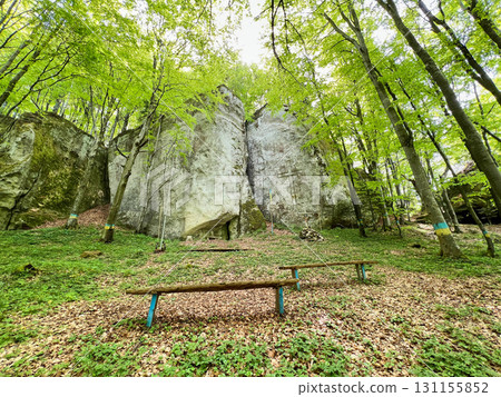 Tranquil forest clearing with tall trees and large rock face. Rock face has cross and cairn at its base. Wooden benches placed in foreground, surrounded by lush greenery and fallen leaves. Tranquil forest clearing with tall trees and large rock face. Rock face has cross and cairn at its base. Wooden benches placed in foreground, surrounded by lush greenery and fallen leaves. 131155852