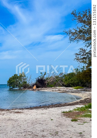Beautiful coastal landscape at sandy shore with trees and calm waters under blue sky 131155892