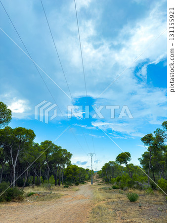 Scenic pathway through lush trees under a bright blue sky with power lines stretching across the landscape 131155921