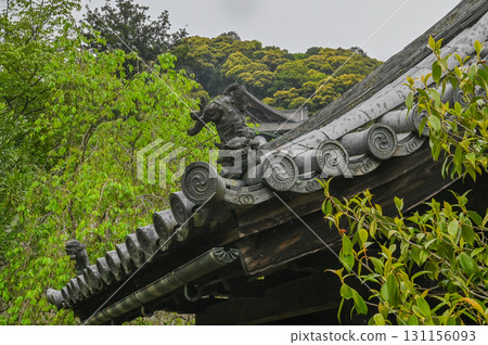 Hasedera Temple - Scenery of an ancient temple with rhododendrons in bloom Hasedera Temple - Scenery of an ancient temple with rhododendrons in bloom 131156093