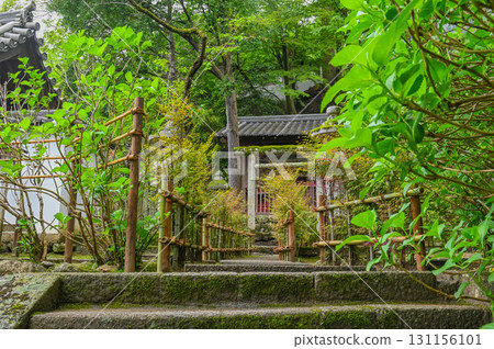 Hasedera Temple - Scenery of an ancient temple with rhododendrons in bloom Hasedera Temple - Scenery of an ancient temple with rhododendrons in bloom 131156101