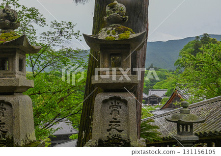 長谷寺 - 杜鵑花盛開的古剎風景 131156105