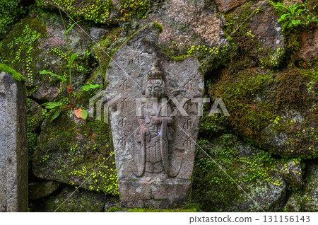 長谷寺 - 杜鵑花盛開的古剎風景 131156143