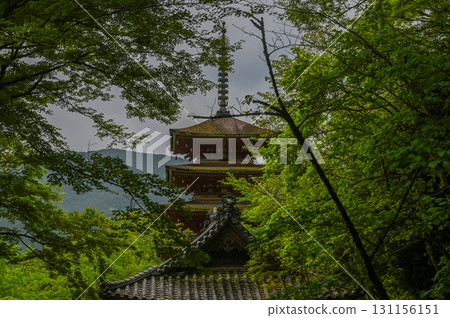 長谷寺 - 杜鵑花盛開的古剎風景 131156151
