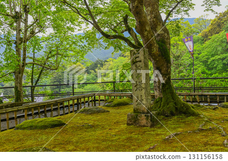 Hasedera Temple - Scenery of an ancient temple with rhododendrons in bloom 131156158