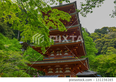 長谷寺 - 杜鵑花盛開的古剎風景 長谷寺 - 杜鵑花盛開的古剎風景 131156165