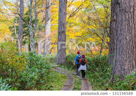 用紅葉著色的燃燒的秋天尾瀨 用紅葉著色的燃燒的秋天尾瀨 131156589